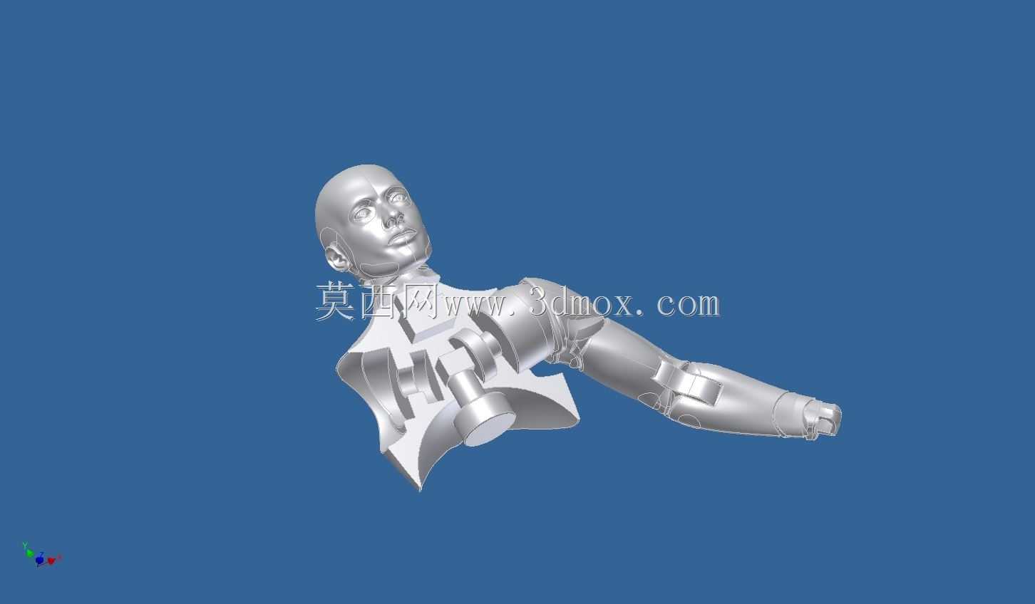 亚当人体模型