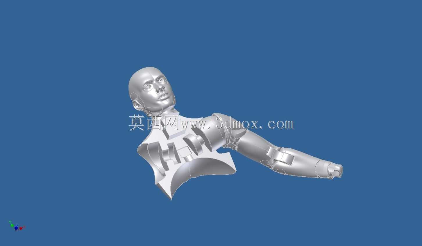 亚当人体模型