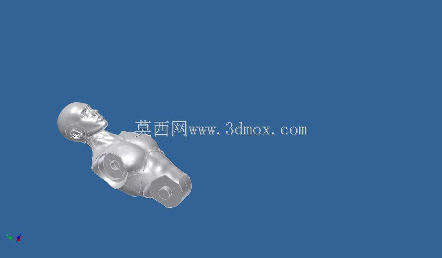 亚当人体模型