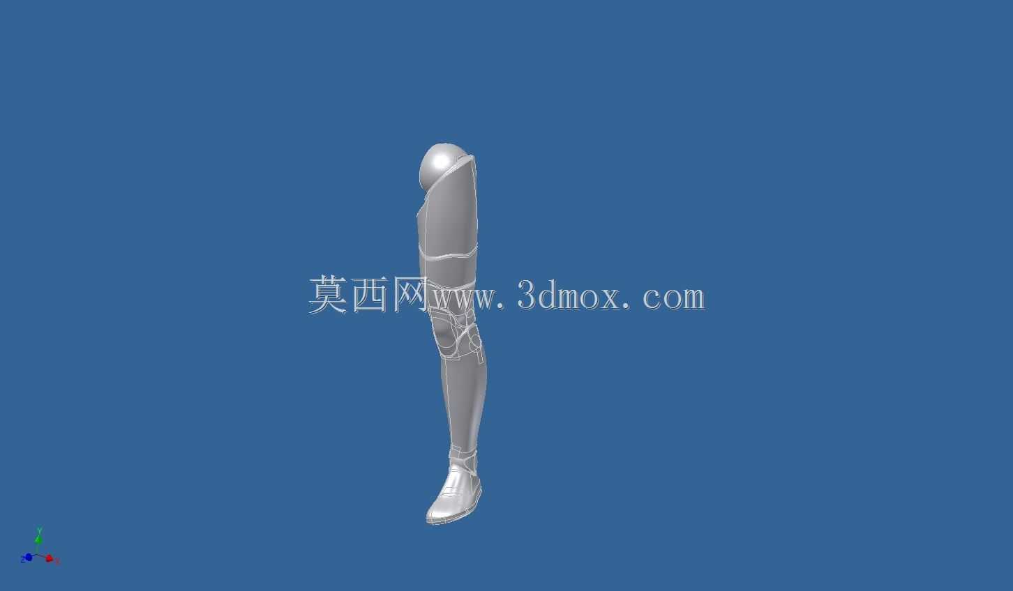 亚当人体模型
