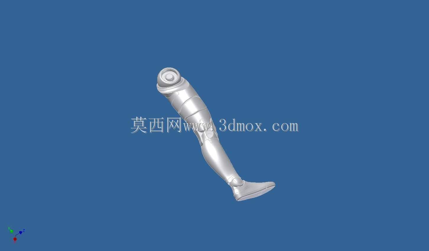 亚当人体模型
