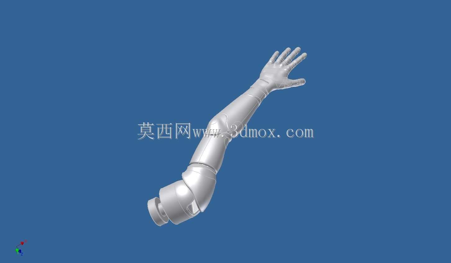亚当人体模型