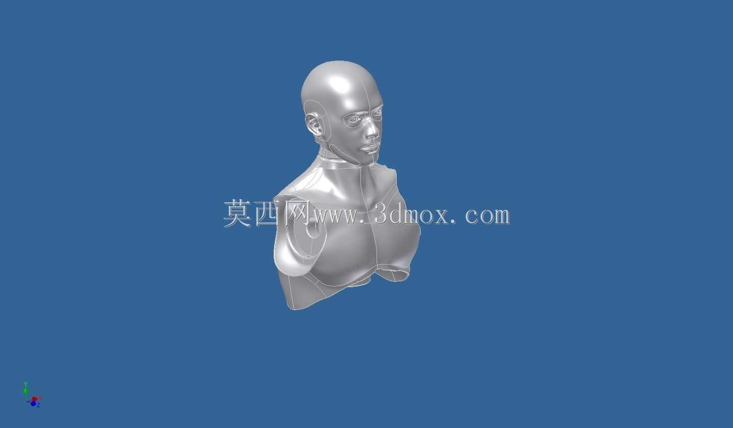亚当人体模型