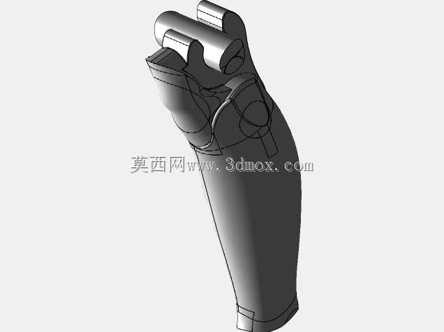 亚当人体模型