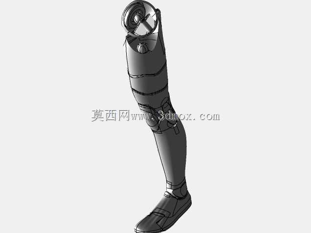 亚当人体模型