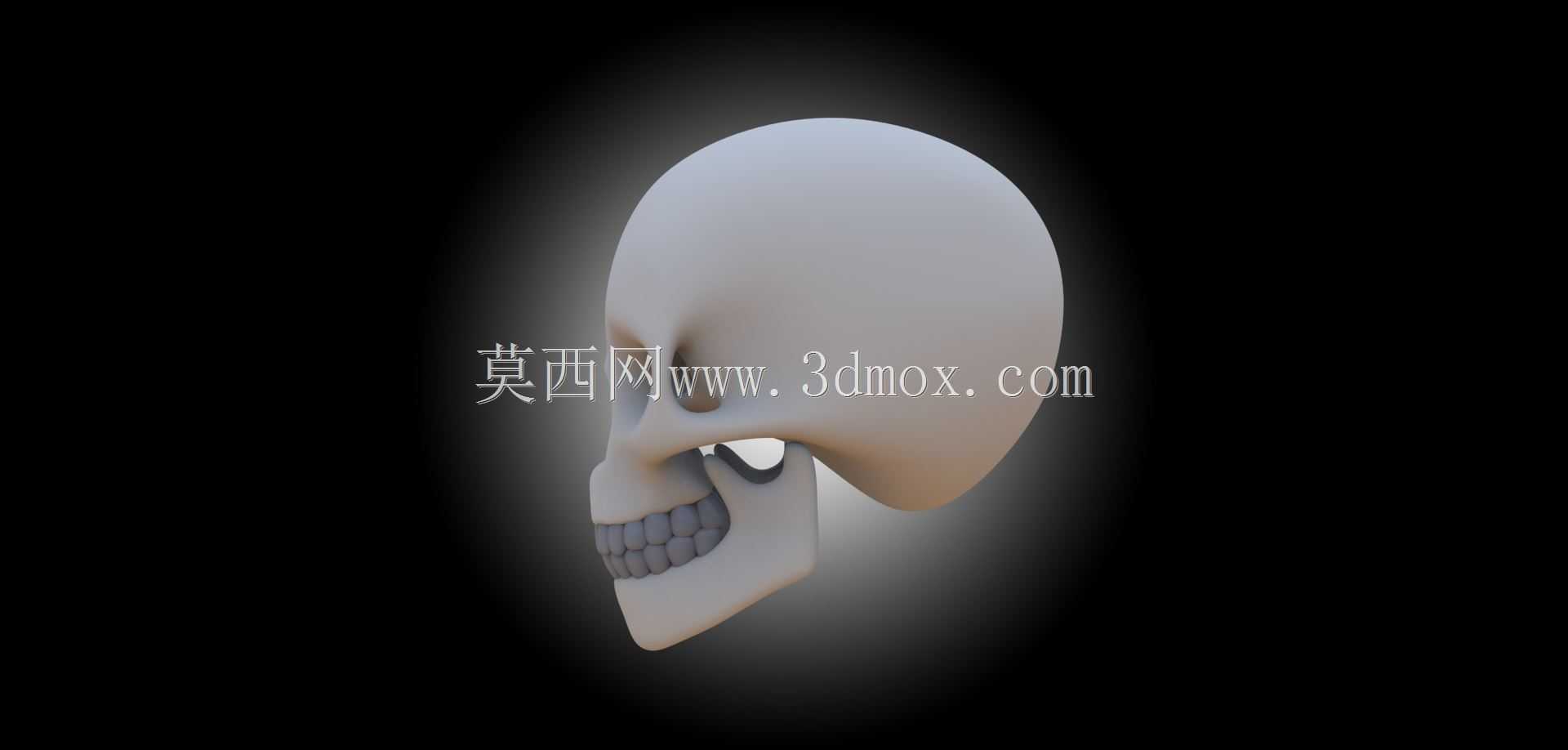 有下巴和牙齿的头颅