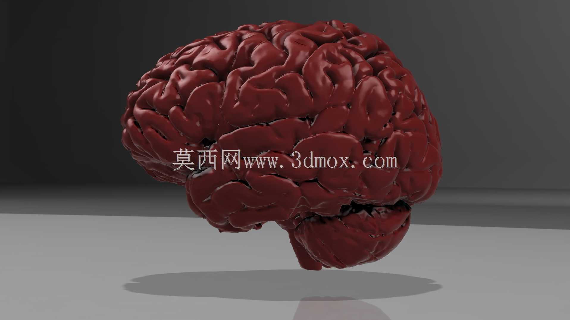 人脑