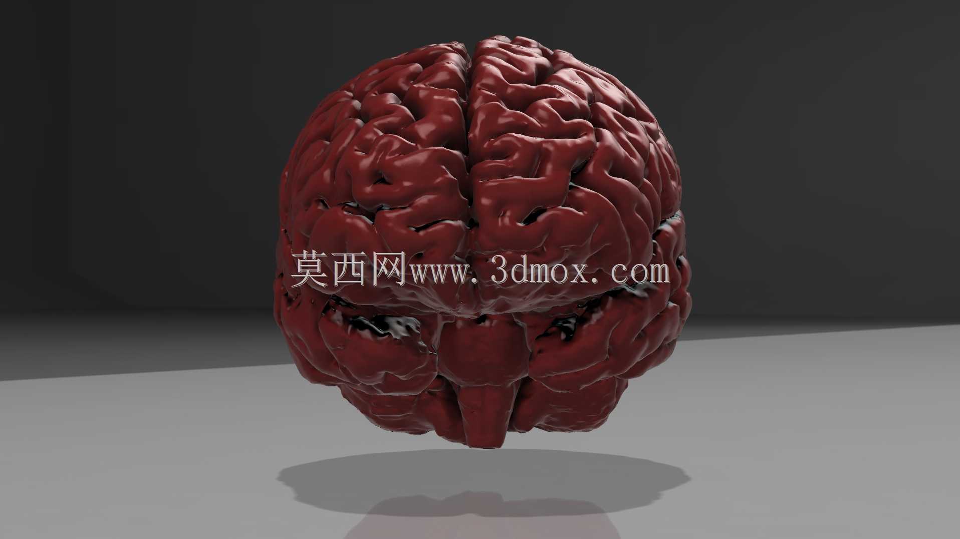 人脑