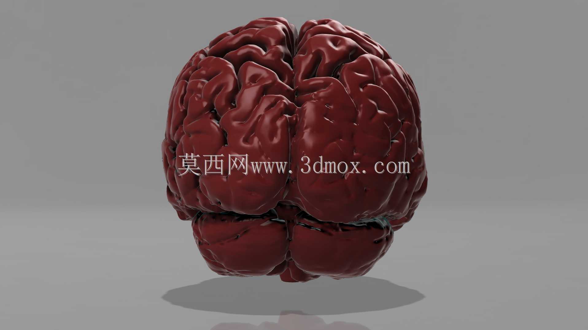 人脑