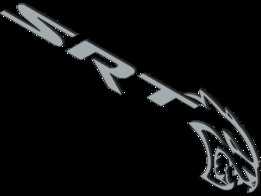 SRT��־
