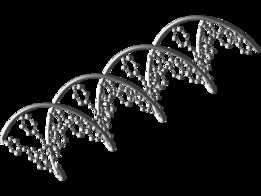 DNA
