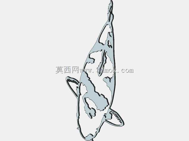 锦鲤