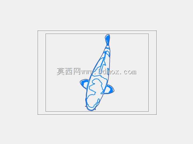 锦鲤