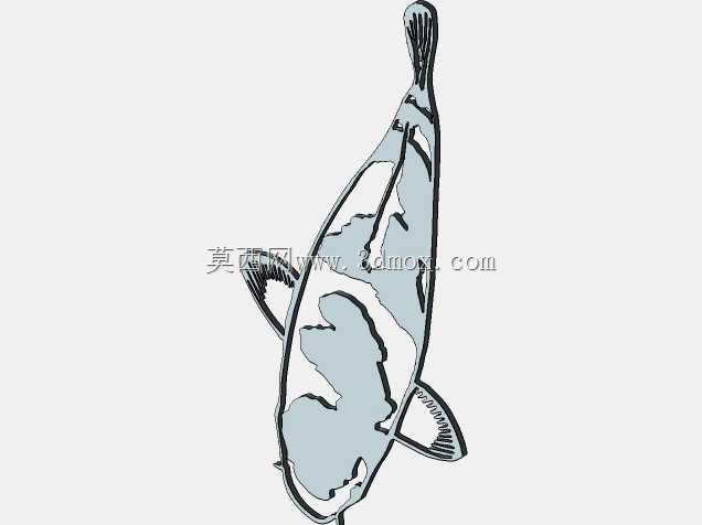 锦鲤