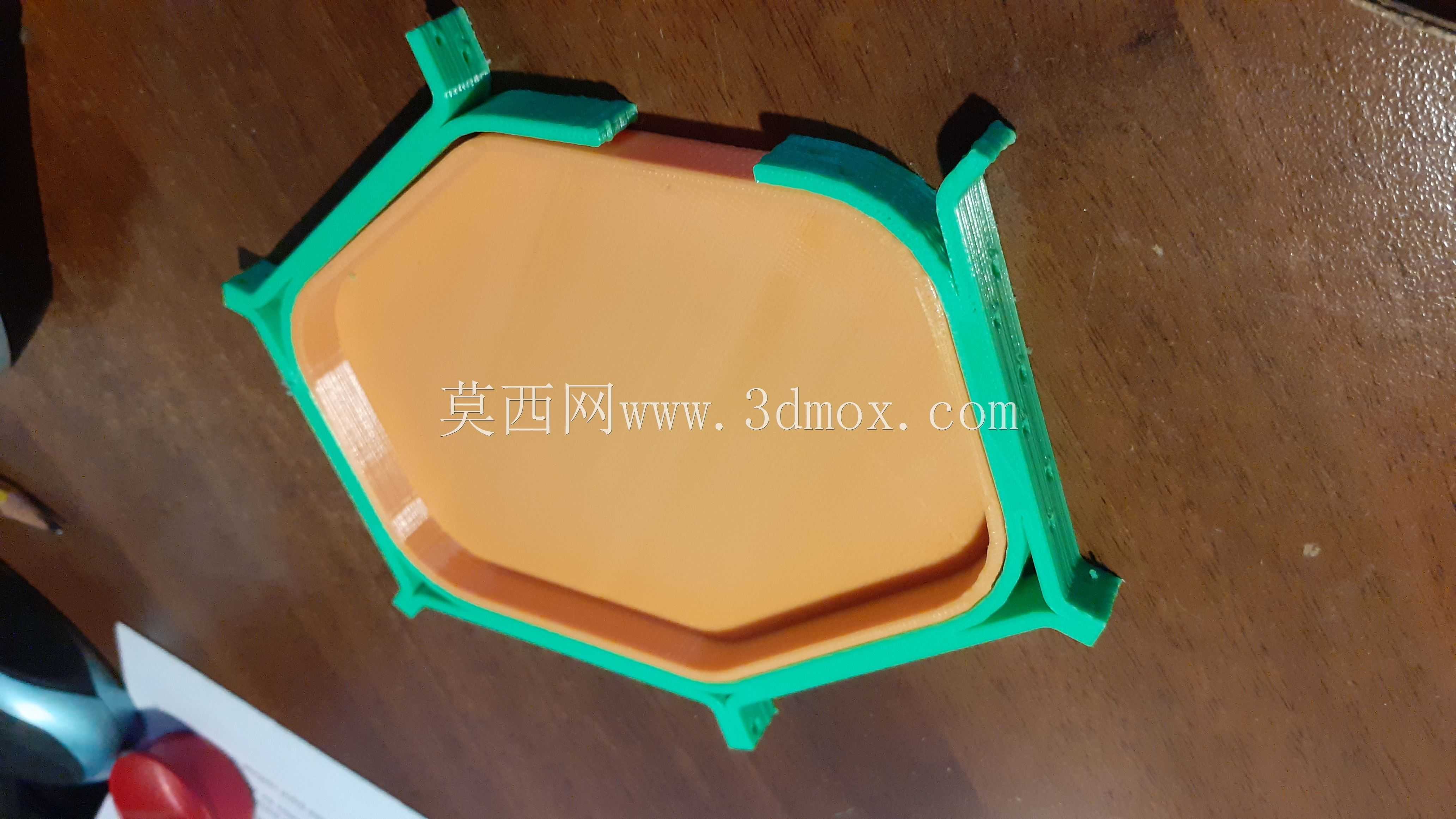 植物细胞(植物细胞)