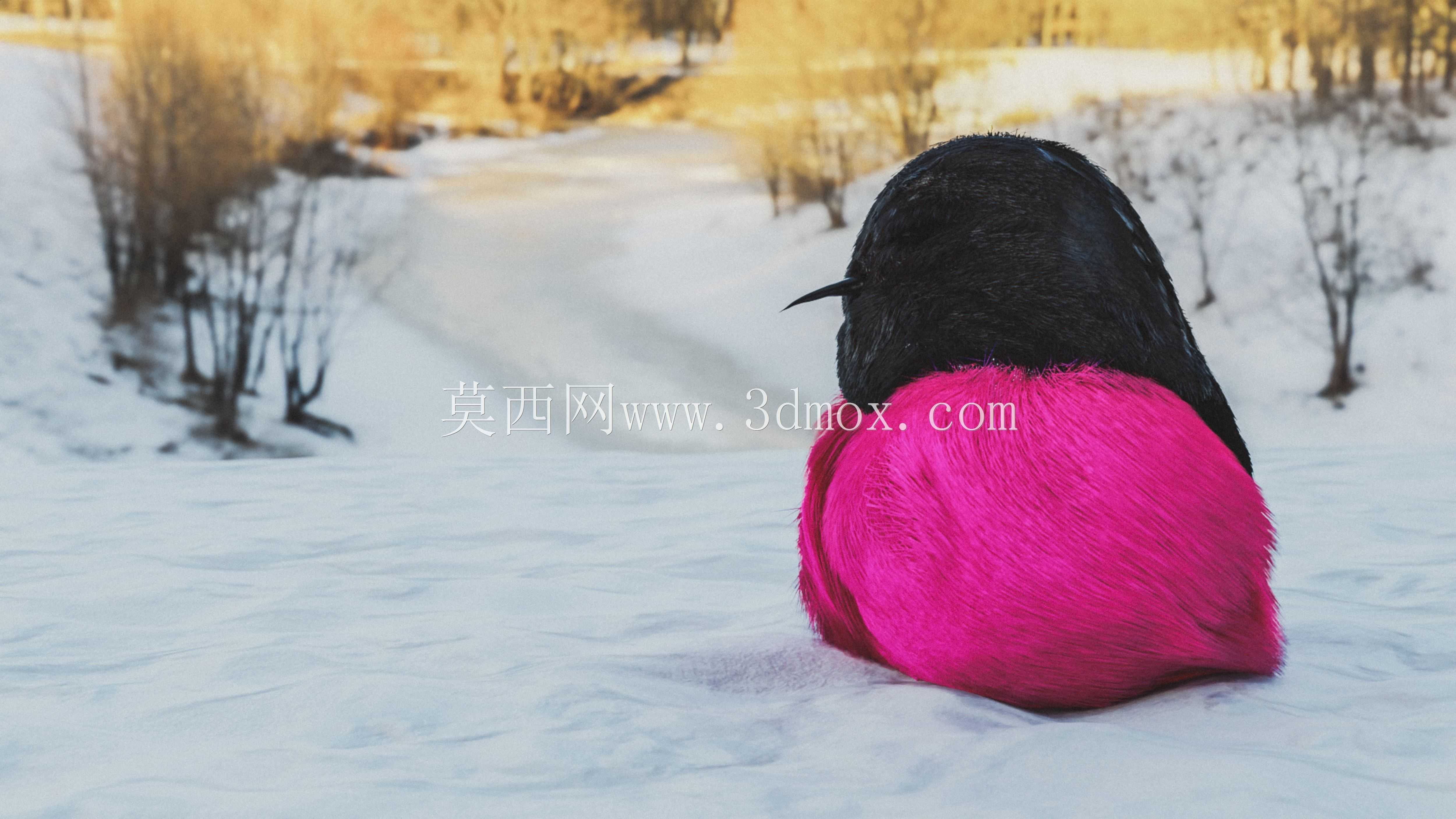 �ۺ�֪����