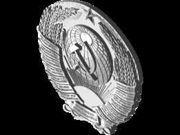 �����ܻա�