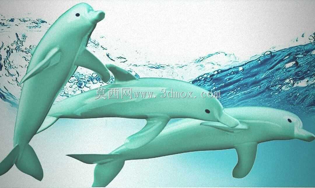 ����3dģ��