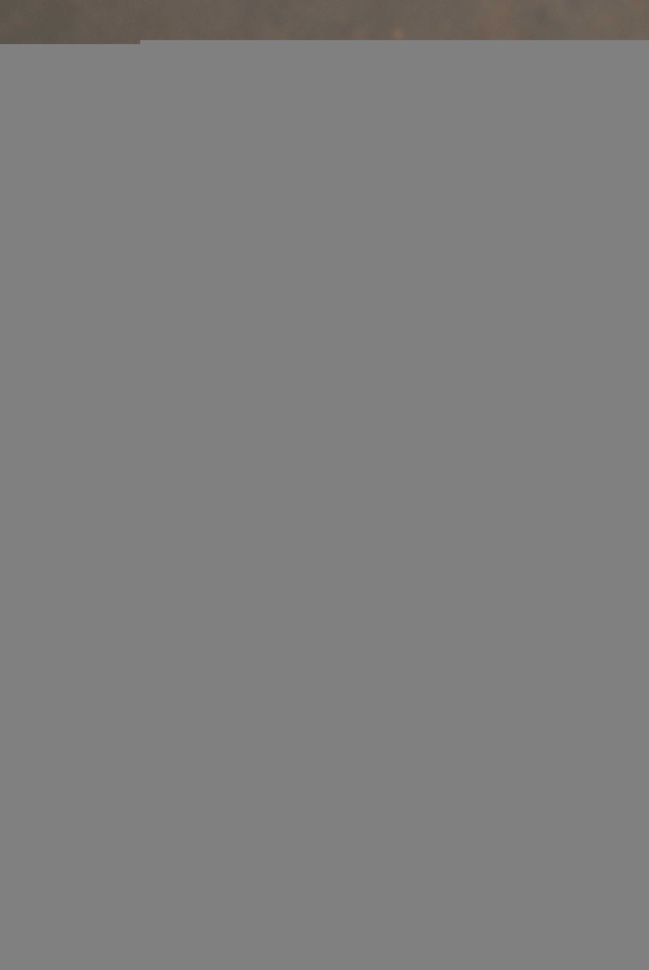 Stanley A Meyer 11���WFC��ȼ��������