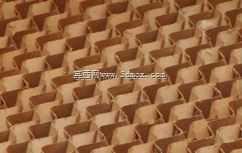 ���Ҷ���-Sera Animasyon