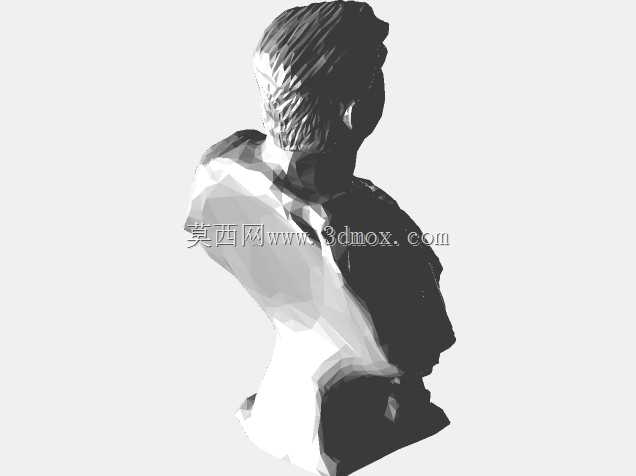 轨装特朗普