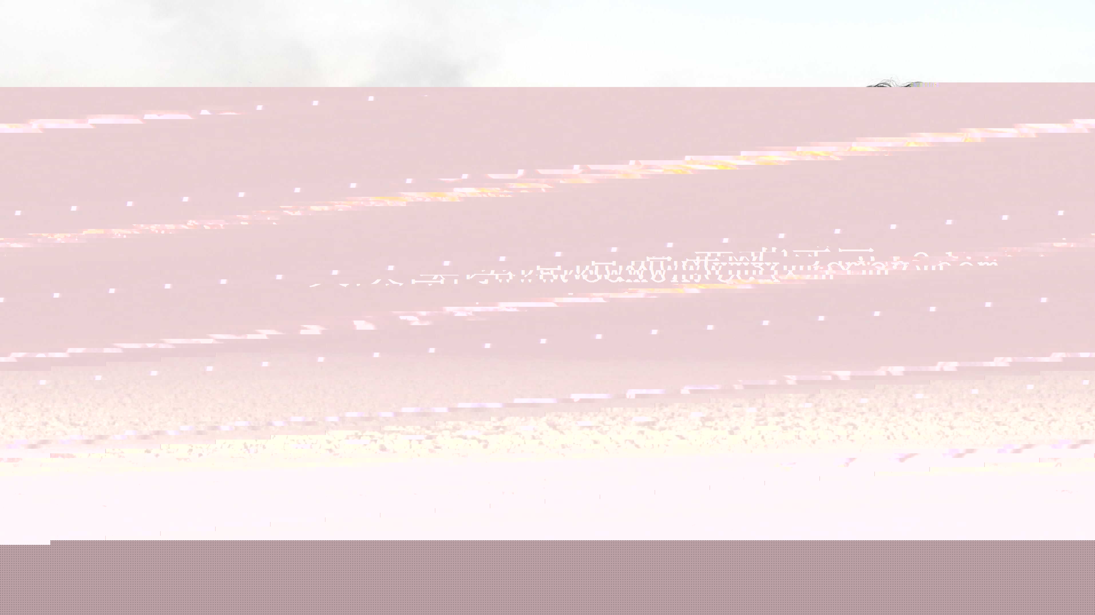 �����屬ը����DL-44��ը����