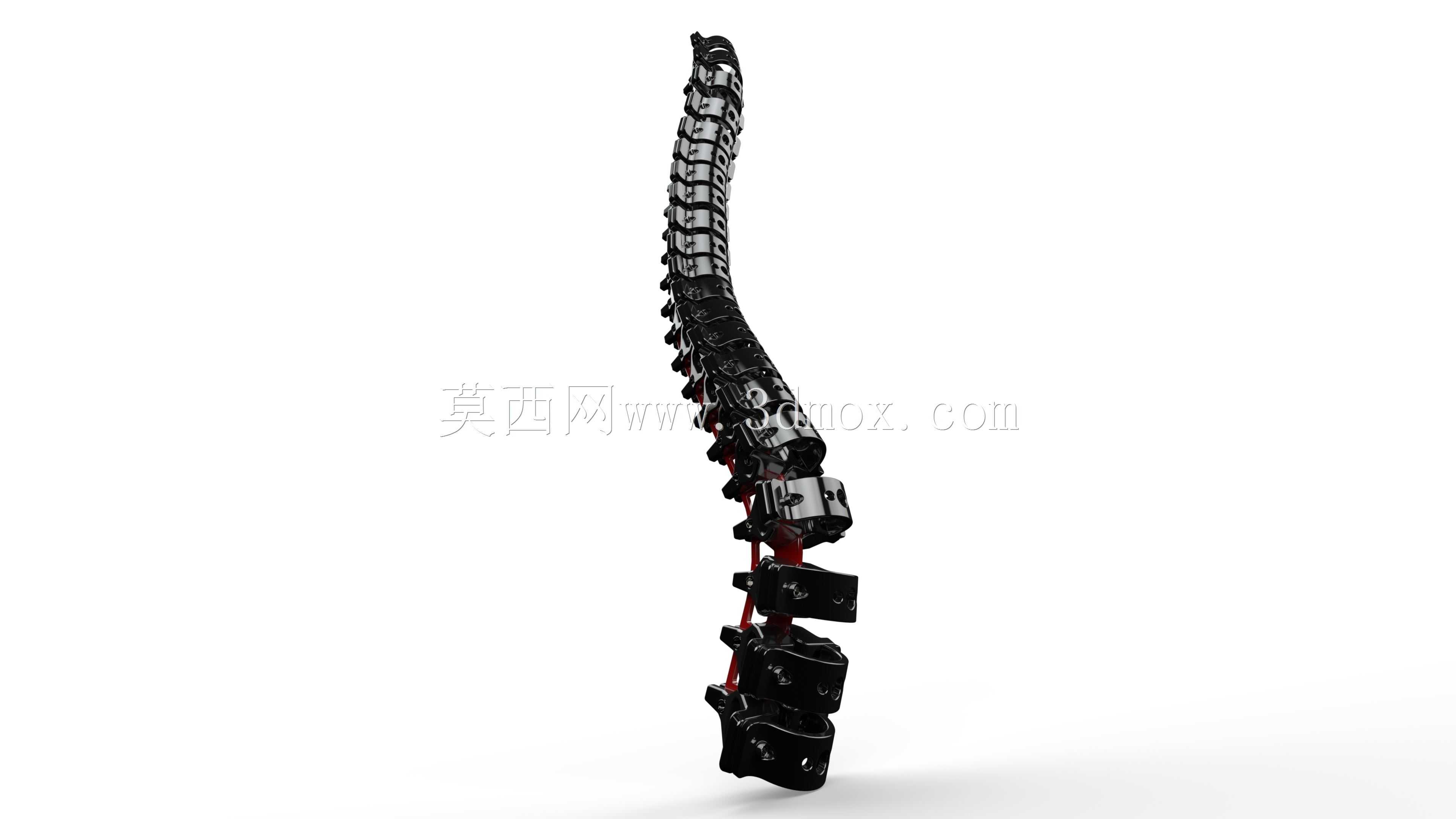 paXcyborG主干网