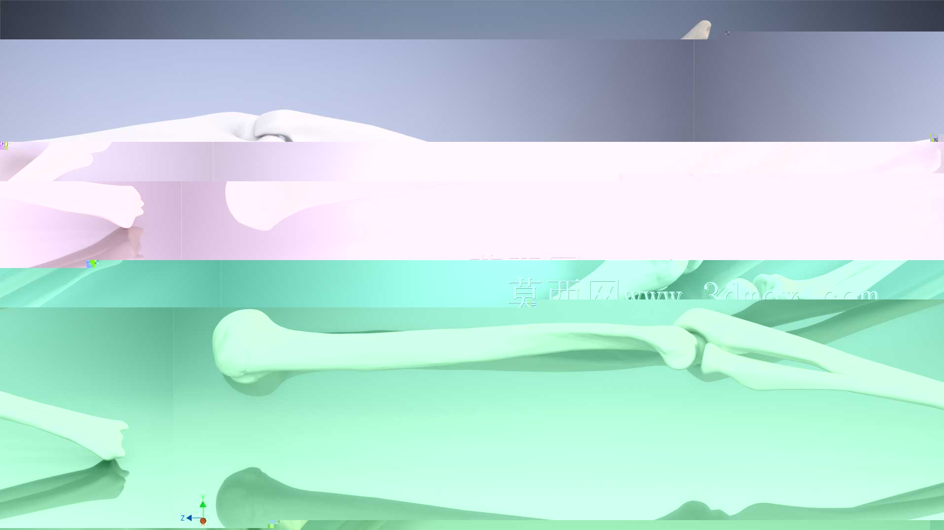 �������ѧV4-���ԣ��ձ�������ѧ��BodyParts3D��Դ��