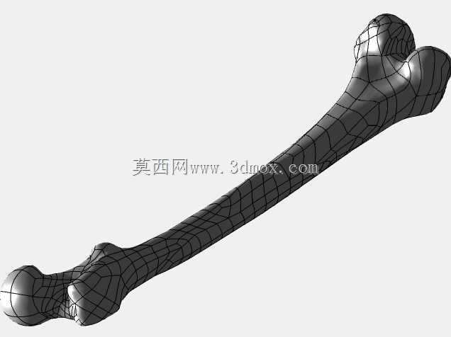 �������ѧV4-���ԣ��ձ�������ѧ��BodyParts3D��Դ��