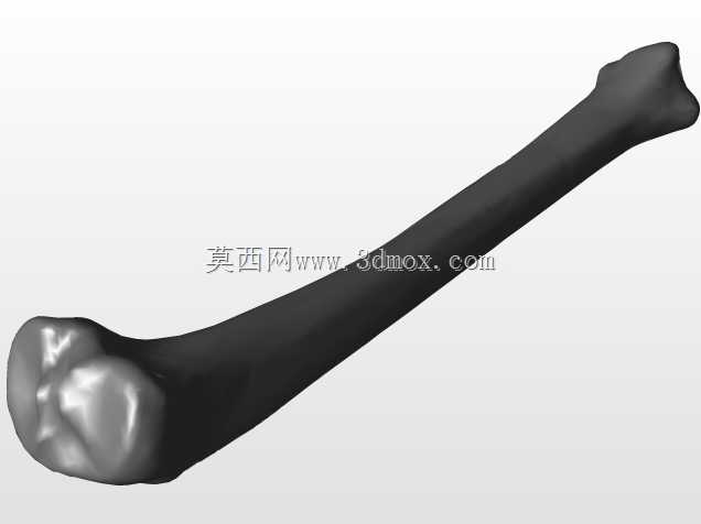 �������ѧV4-���ԣ��ձ�������ѧ��BodyParts3D��Դ��