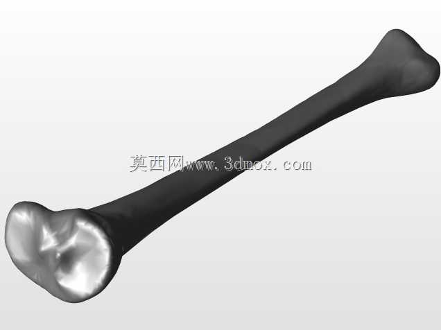 �������ѧV4-���ԣ��ձ�������ѧ��BodyParts3D��Դ��