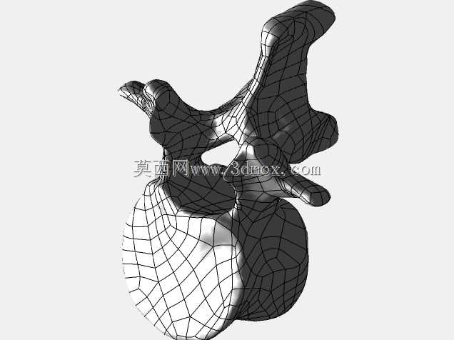 �������ѧV4-���ԣ��ձ�������ѧ��BodyParts3D��Դ��