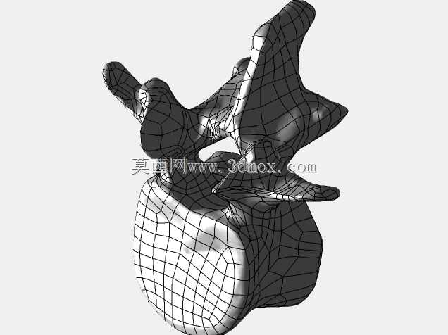�������ѧV4-���ԣ��ձ�������ѧ��BodyParts3D��Դ��