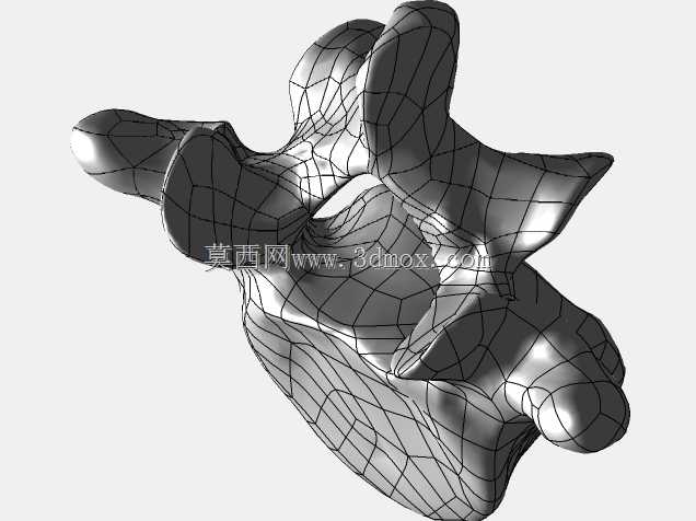 �������ѧV4-���ԣ��ձ�������ѧ��BodyParts3D��Դ��