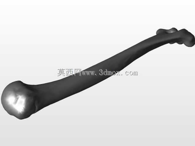 �������ѧV4-���ԣ��ձ�������ѧ��BodyParts3D��Դ��