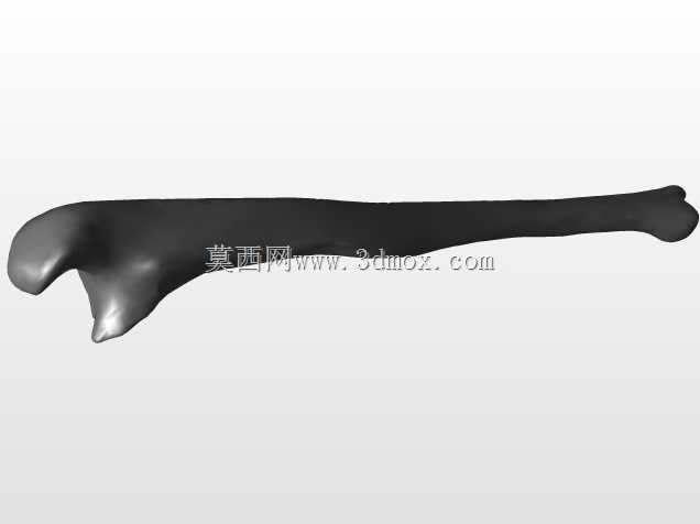 �������ѧV4-���ԣ��ձ�������ѧ��BodyParts3D��Դ��