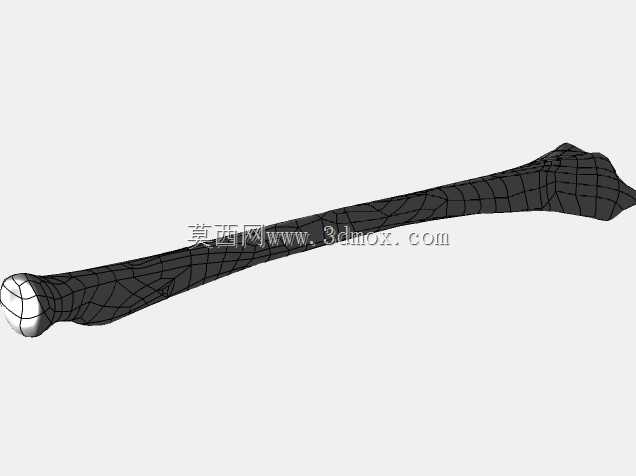 �������ѧV4-���ԣ��ձ�������ѧ��BodyParts3D��Դ��