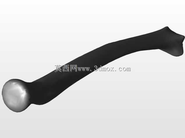 �������ѧV4-���ԣ��ձ�������ѧ��BodyParts3D��Դ��
