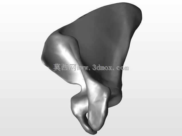 �������ѧV4-���ԣ��ձ�������ѧ��BodyParts3D��Դ��