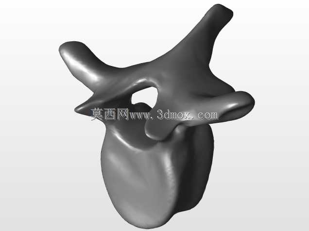 �������ѧV4-���ԣ��ձ�������ѧ��BodyParts3D��Դ��
