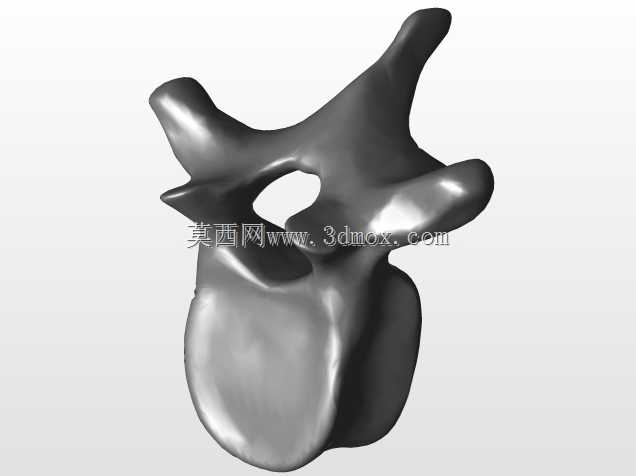 �������ѧV4-���ԣ��ձ�������ѧ��BodyParts3D��Դ��