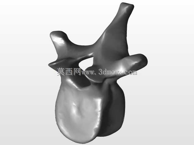 �������ѧV4-���ԣ��ձ�������ѧ��BodyParts3D��Դ��