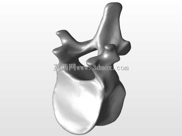 �������ѧV4-���ԣ��ձ�������ѧ��BodyParts3D��Դ��
