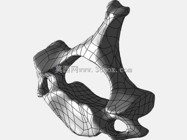 �������ѧV4-���ԣ��ձ�������ѧ��BodyParts3D��Դ��