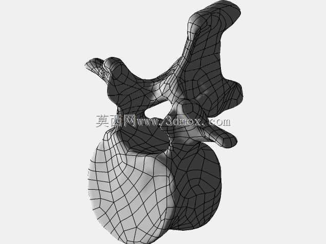 �������ѧV4-���ԣ��ձ�������ѧ��BodyParts3D��Դ��