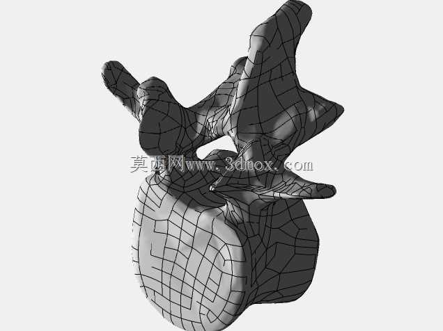 �������ѧV4-���ԣ��ձ�������ѧ��BodyParts3D��Դ��