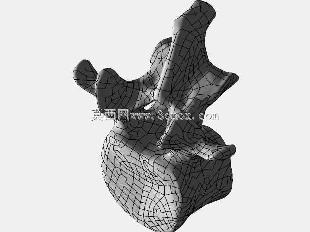 �������ѧV4-���ԣ��ձ�������ѧ��BodyParts3D��Դ��