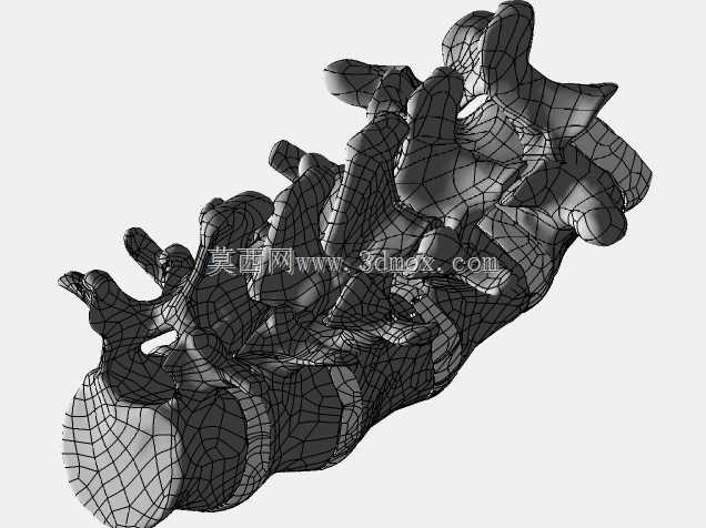 �������ѧV4-���ԣ��ձ�������ѧ��BodyParts3D��Դ��