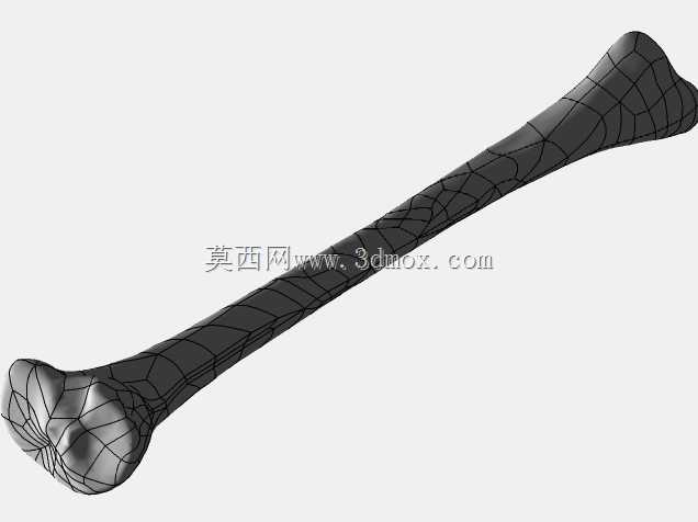 �������ѧV4-���ԣ��ձ�������ѧ��BodyParts3D��Դ��