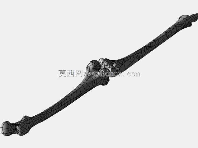 �������ѧV4-���ԣ��ձ�������ѧ��BodyParts3D��Դ��